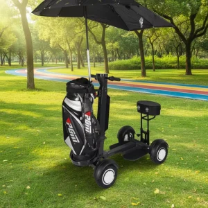 0 Inch DC Motor 4 Wheel Golf Electric Scooter Dual Motor White Golf Cart Mobility Electric Golf Trolley Scooter