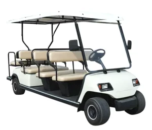 12 Seats Lvtong Golf Cart Factory Direct Sale Accept OEM Golf Car with Lithium Battery