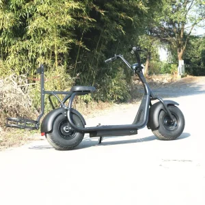 1500w 2000w 60v12ah 20ah Lithium Battery Fat Tire Off Road Citycoco Dual Motor Golf Electric Scooter Golf Trolleys