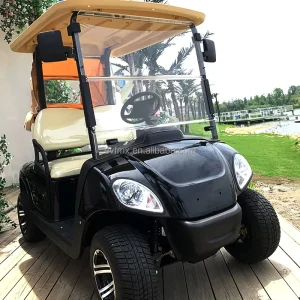2 4 6 8 Seater Electric Golf Cart