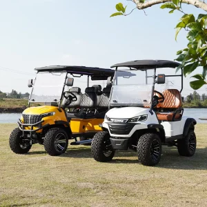 2 4 6 8 Seats Electric Car Hunting Golf Cart Electric Golf Scooter Off Road Golf Cart