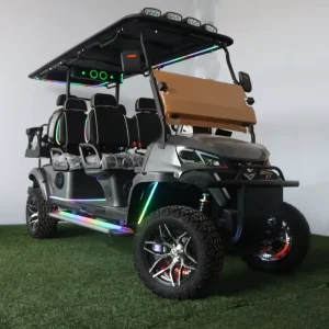 2 4 6 Seater Chinese Electric Golf Cart Car for Sale 48V 72V Lithium Custom Comfortable Buggy Electric Golf Carts
