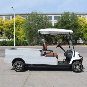 2 Passenger Electric Golf Cart