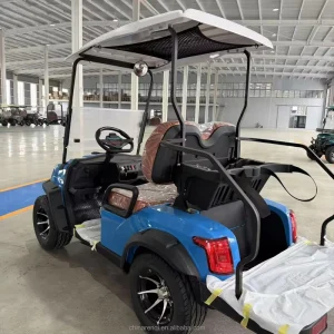 2-Passenger Electric Golf Cart with 4 kW AC Motor 100-120km Range Comfortable Leather Seats & Alloy Wheels