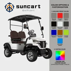 2 Seat Electric Golf Cart USA Dubai Indonesia Warehouse