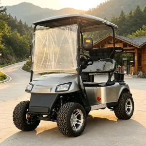 2 Seat Electric Golf Cart with 2 Wheel Drive for Farm