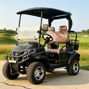 2 Seat Electric Golf Cart with 3 Year Warranty for Asia