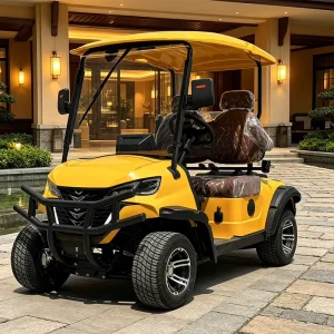 2 Seat Electric Golf Cart with 5kW Motor for Uphill