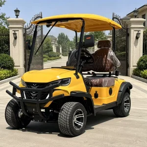 2 Seat Electric Golf Cart with 7.5kW Motor