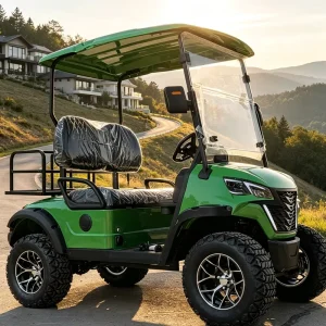 2 Seat Electric Golf Cart with All Terrain Tires for Sand