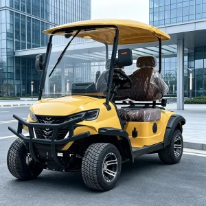 2 Seat Electric Golf Cart with Alloy Wheels for Style
