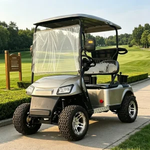 2 Seat Electric Golf Cart with Cargo Bed for Pickup Version