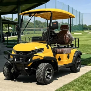 2 Seat Electric Golf Cart with Cup Holder for Convenience