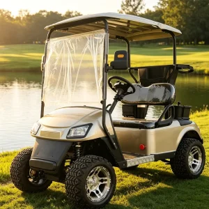 2 Seat Electric Golf Cart with Keyless Start APP Control Smart Vehicle