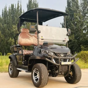 2 Seat Electric Golf Cart with LED Headlights for Night Safari