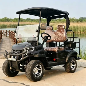 2 Seat Electric Golf Cart with LSV Compliance for USA