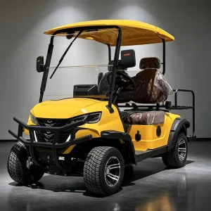 2 Seat Electric Golf Cart with Leaf Spring for Comfort