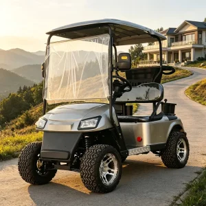 2 Seat Electric Golf Cart with Leather Seat for VIP Resort