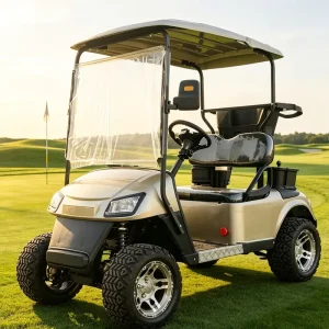 2 Seat Electric Golf Cart with Long Life Warranty After Sales Service