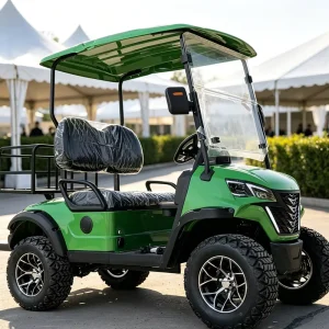 2 Seat Electric Golf Cart with Low Profile Tires for Sporty