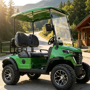 2 Seat Electric Golf Cart with Quick Charge for Fast Turnaround