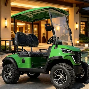2 Seat Electric Golf Cart with Steel Wheels