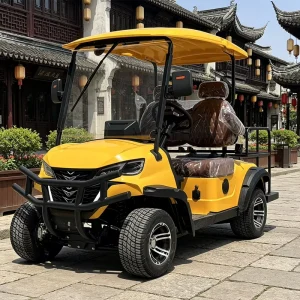 2 Seat Electric Golf Cart with Wood Grain Trim for Classic Look