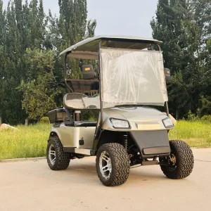 2 Seat Gas Golf Cart with Independent Suspension Off Road for Farm Hunting