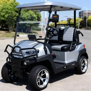 2 Seater 14 Inch Aluminum Alloy Off Road Tires 60V Battery Electric Golf Cart with CE Certification for Rough Terrain