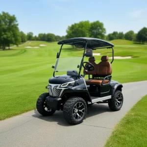 2 Seater 48V Electric Golf Cart with Curtis Controller DOT Certification CE GCC Fast Charge and Long Range for Course Sightseeing
