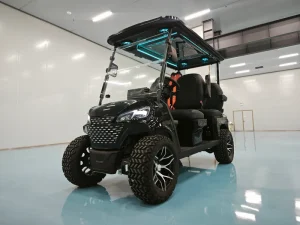 2 Seater 48V Lithium Battery Electric Golf Cart CE Certified for Golf Course Community Resort Custom OEM Golf Buggy