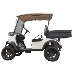 2 Seater All Terrain Electric Off Road Golf Carts with Front Suspension and Dump Beds