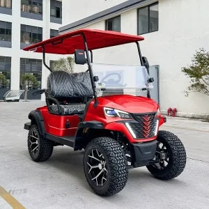 2 Seater Crazy Golf Cart with 5KW Electric Motor Mini Steel Golf Cart E Golf Board Certified by EEC & GCC