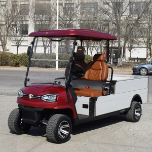 2 Seater Electric Golf Cart