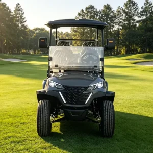 2 Seater Electric Golf Cart 48V Lithium Battery 5kW GCC Certified for Golf Course