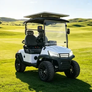 2 Seater Electric Golf Cart 48V Lithium Battery 5kW GCC Certified for Golf Course