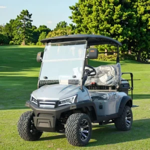 2 Seater Electric Golf Cart Club Car Adults Street Legal 48V EEC Certified Buggy