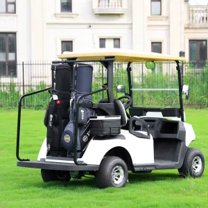 2 Seater Electric Golf Cart for Sale
