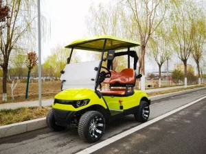 2 Seater Electric Golf Cart with 12 14 Inch Tires 48V Battery Voltage Customization and Mood Lighting