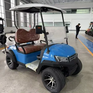 2 Seater Electric Golf Cart with Rear Cargo Box Stylish Blue Golf Buggy for Golf Course