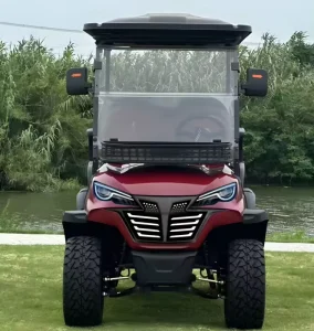 2 Seater Electric Golf Carts 30 50km h 90km Range CE Certified Factory Direct Price Safe Design Easy Maintenance