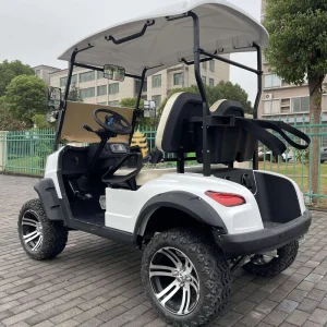 2 Seater Electric Golf Carts golf Cart Battery off Road Golf Carts