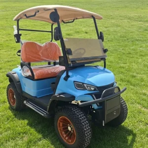 2 Seater Golf Car Cart Golf Buggy 48V Lithium Golf Electric Cart for Use in Hotels