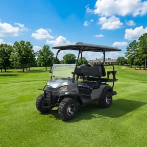 2 Seater Golf Cart Electric Legal Road Golf Cart Suitable for Resort Golf Courses