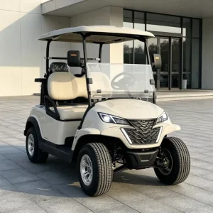 2 Seater Lithium Powered Electric Golf Cart Club Car for Golf Course and Neighborhood Transport