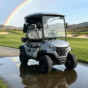 2 Seater Lithium Powered Electric Golf Cart Club Car for Golf Course and Neighborhood Transport