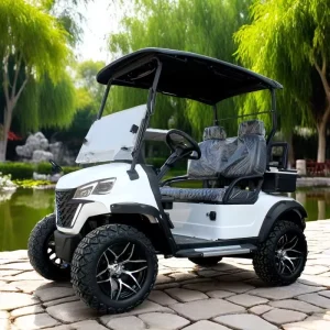 2 Seater Off Road Electric Golf Cart with Lithium or Lead Acid Batteries 30 50km h Speed 70 90km Range