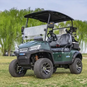 2 Seater Small Electric Golf Cart 4 Wheel Drive Customizable for Golf Course Resort with CE Certified
