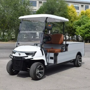 2 Seater With Cargo Box Golf Cart CE Approved Electric Golf Car Resort Style Utility Buggy