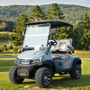 2 Seaters Electric Golf Carts with Chinese Motorized 72v Lithium Battery Motor Electric Golf Buggy Car